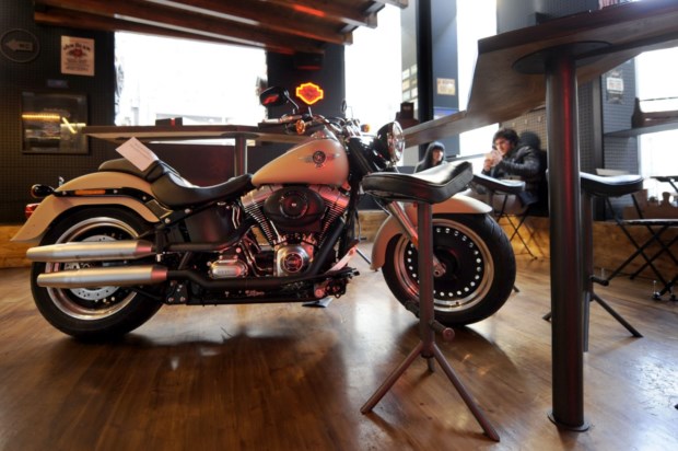 HD Bar to Be Wild galerias de paris