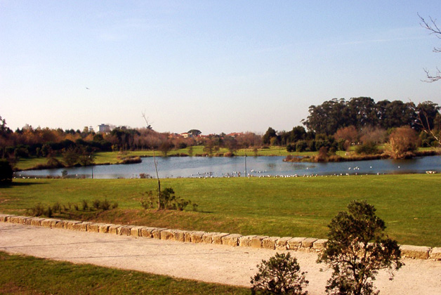 parque da cidade matosinhos porto