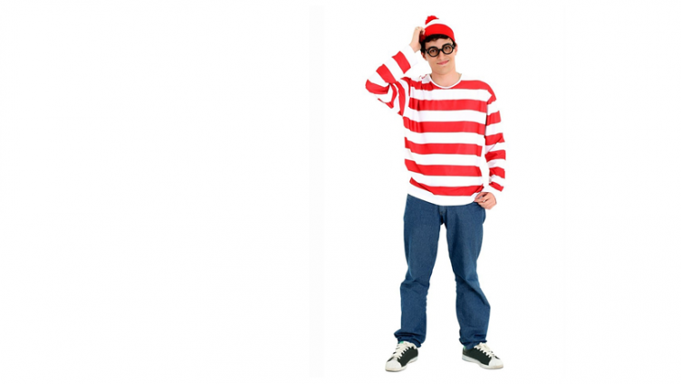 carnaval ovar disfarce wally
