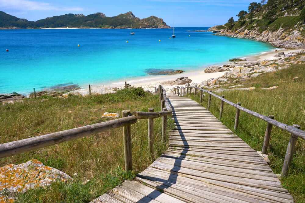 Cies Cies